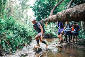 BIB: 
                            <button type="button" onclick="openModal(25373909)" class="btn btn-primary btn-sm float-right btn-popup" data-toggle="modal" data-target=".modal-high-quality">
                        <i class="fas fa-shopping-cart"></i> Add to Cart
                    </button>
                                            <button type="button" onclick="isThisMe(25373909, true)" class="btn btn-success btn-sm float-right btn-popup btn-isme hidden" data-toggle="tooltip" data-placement="bottom" title="นี่คือรูปของคุณใช่ไหม คลิกที่นี่เพื่อเอาเข้าอัลบั้ม">
                        <i class="fas fa-plus"></i> Add to album
                    </button>
                    <button type="button" onclick="isThisMe(25373909, false)" class="btn btn-warning btn-sm float-right btn-popup btn-isnotme hidden">
                        <i class="fas fa-ban"></i> Remove from album
                    </button>